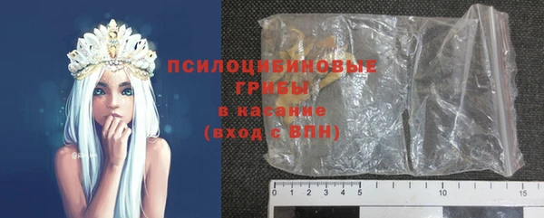 шишки Тутаев