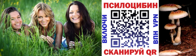 Галлюциногенные грибы прущие грибы  цена наркотик  Володарск 