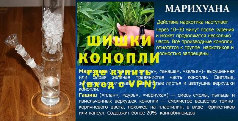 Шишки марихуана гибрид  магазин продажи наркотиков  Володарск 